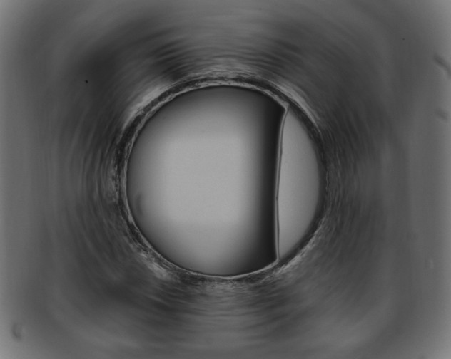 X0000094081018200710190913