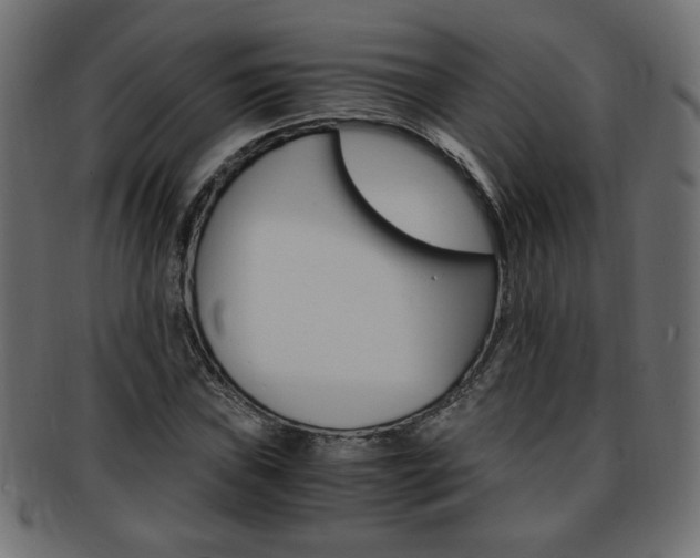 X0000094081019200710190913