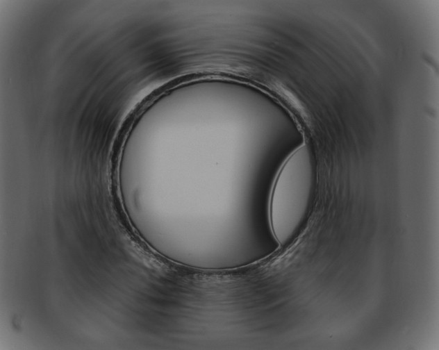 X0000094081020200710190913