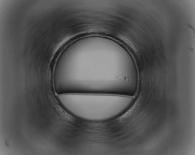 X0000094081021200710190913