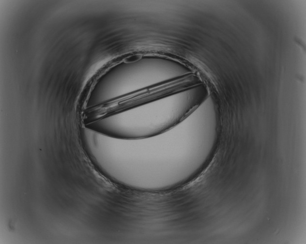 X0000094081022200710190913