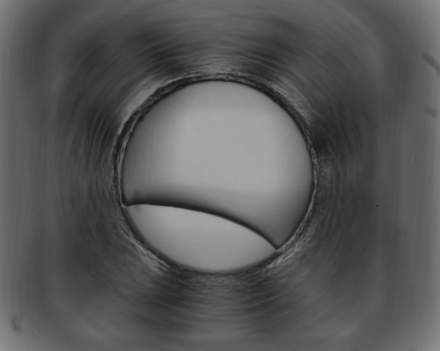 X0000094081023200710190913
