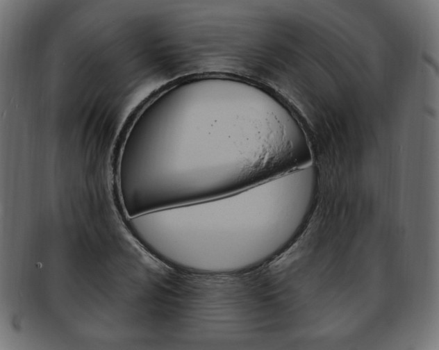 X0000094081024200710190913