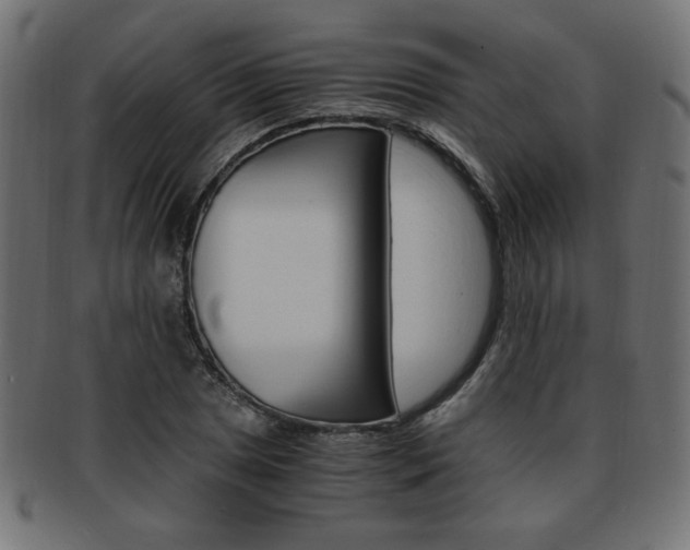 X0000094081025200710190913