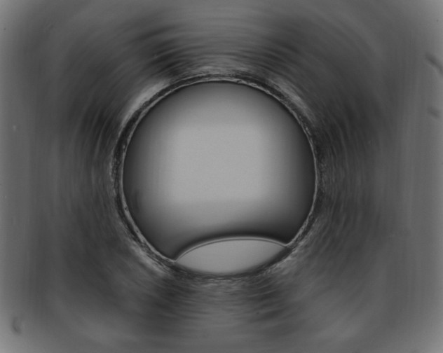 X0000094081026200710190913
