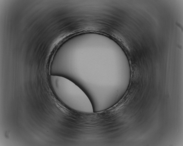 X0000094081027200710190913