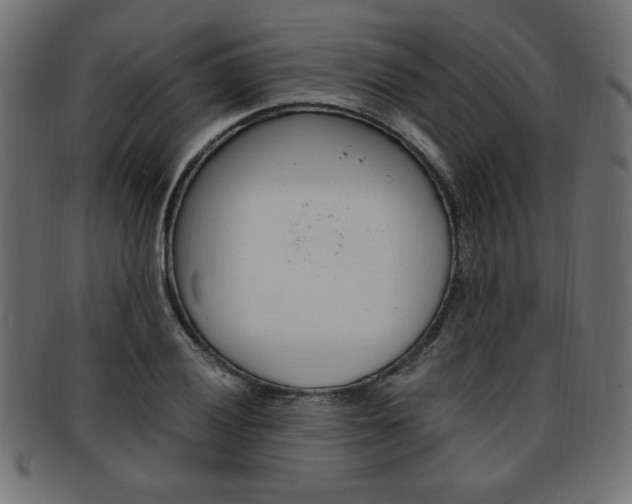 X0000094081028200710190913