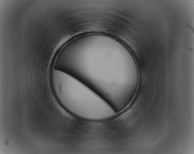 X0000094081029200710190913
