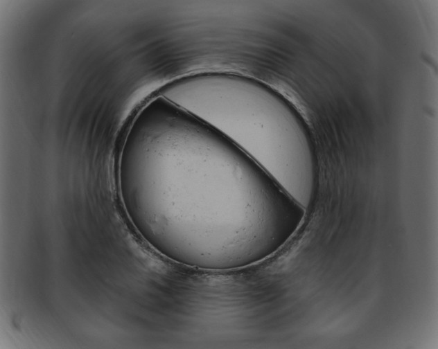 X0000094081030200710190913