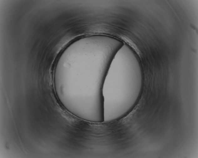 X0000094081031200710190913