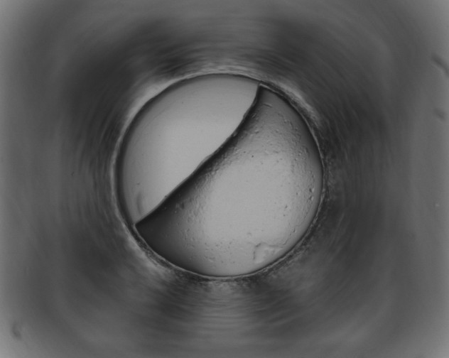 X0000094081032200710190913