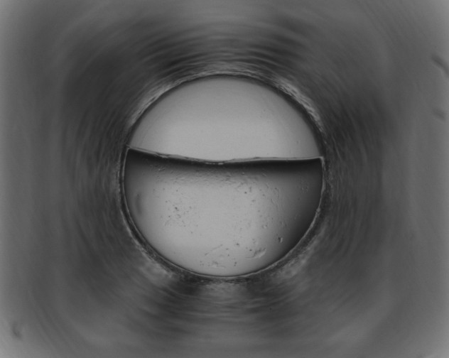 X0000094081033200710190913