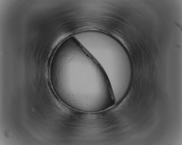 X0000094081034200710190913