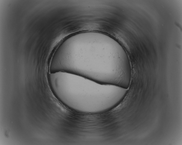 X0000094081035200710190913