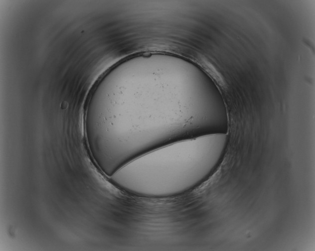 X0000094081036200710190913