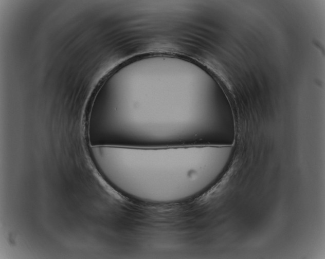 X0000094081037200710190913