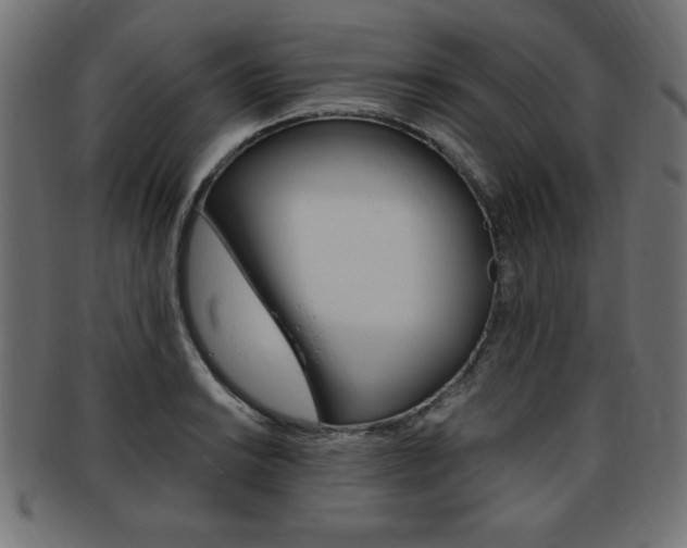 X0000094081038200710190913