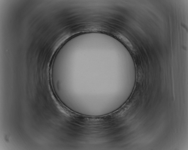 X0000094081039200710190913