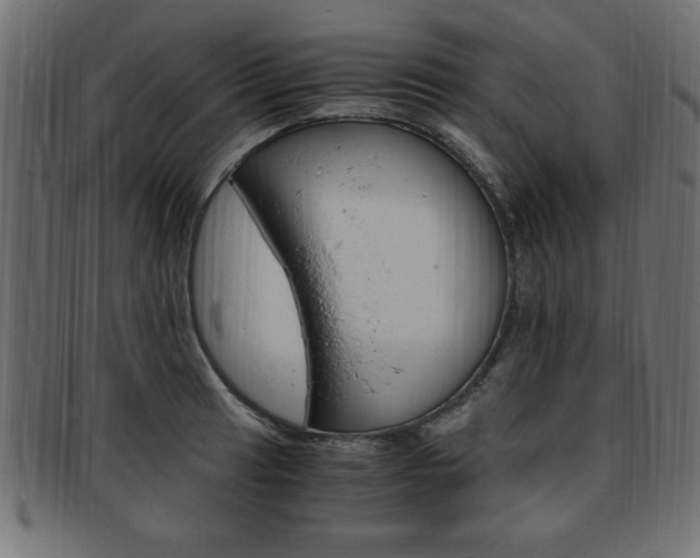 X0000094081041200710190913