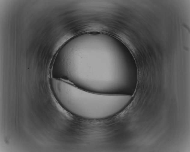 X0000094081042200710190913