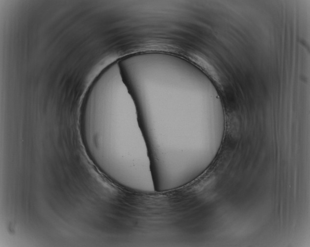 X0000094081043200710190913