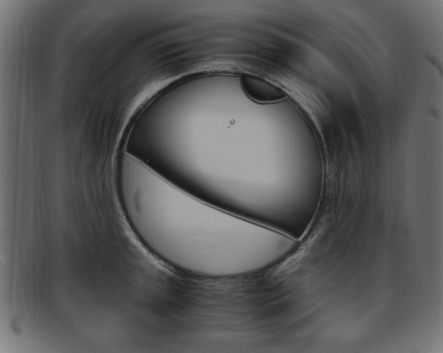 X0000094081045200710190913