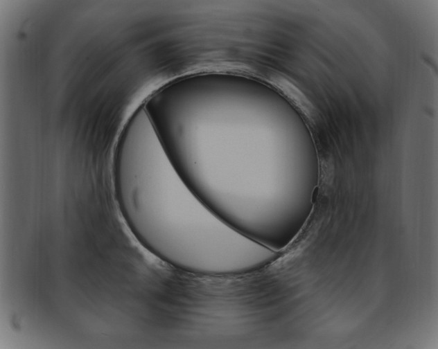 X0000094081046200710190913