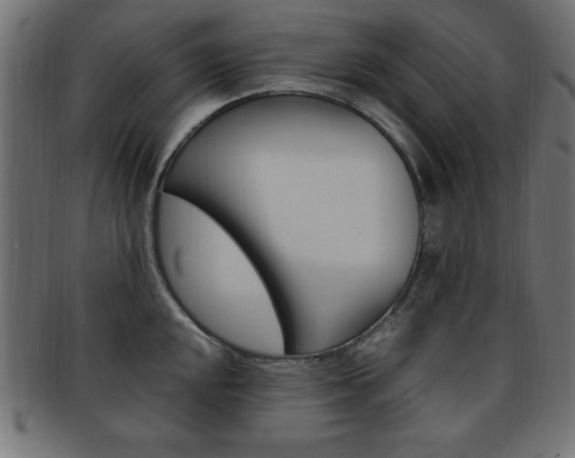 X0000094081048200710190913