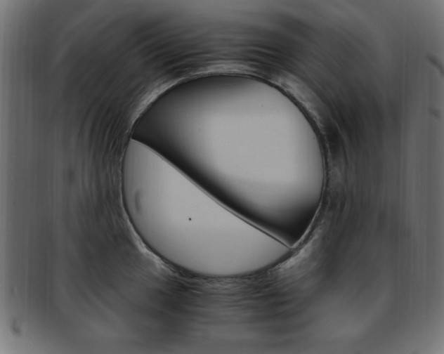 X0000094081049200710190913