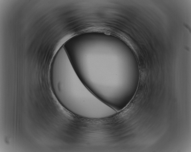 X0000094081050200710190913