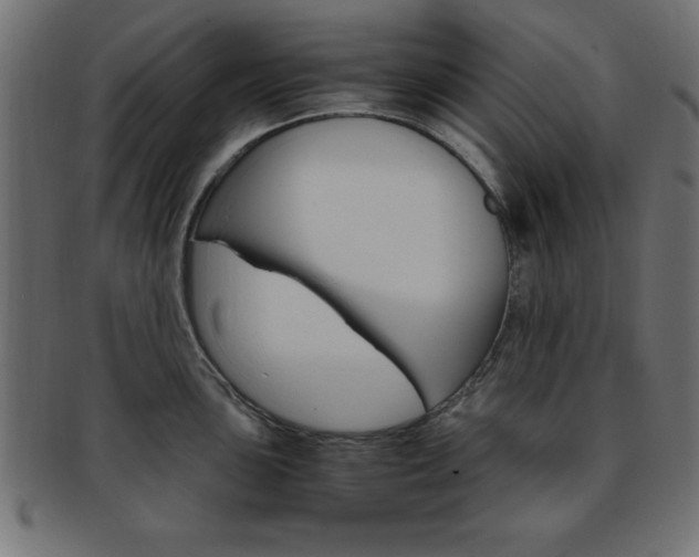 X0000094081051200710190913
