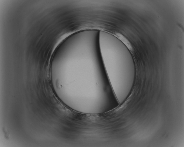 X0000094081052200710190913