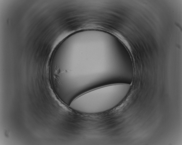 X0000094081053200710190913