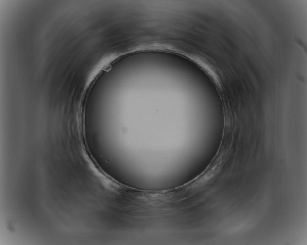 X0000094081054200710190913