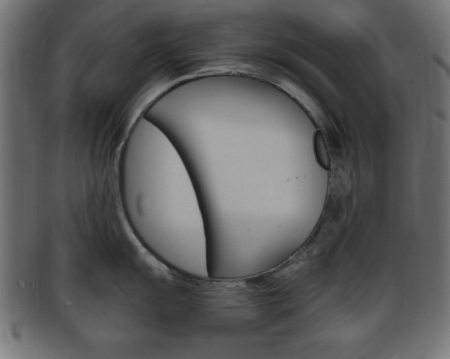 X0000094081055200710190913