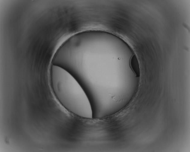 X0000094081056200710190913