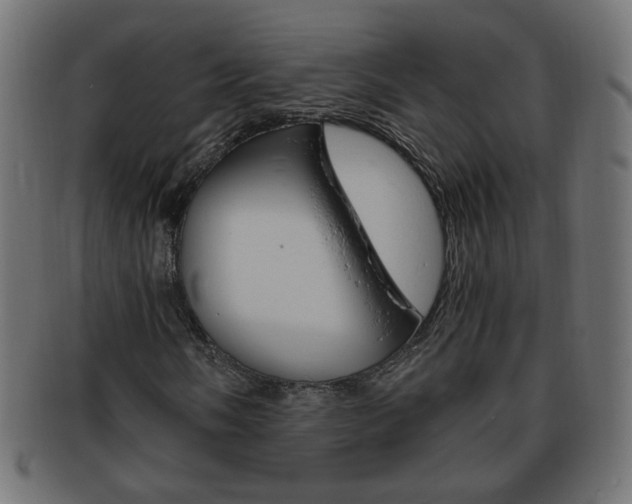 X0000094081058200710190912