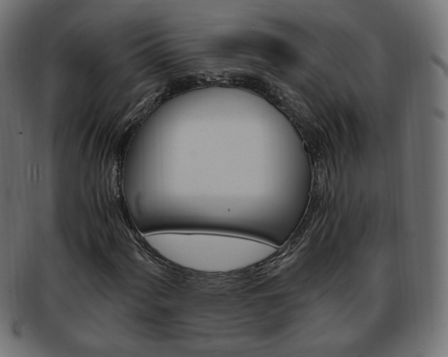 X0000094081060200710190912