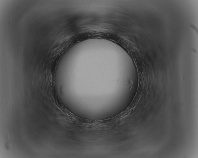 X0000094081061200710190912