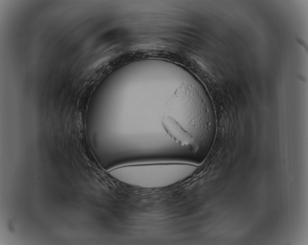 X0000094081062200710190912