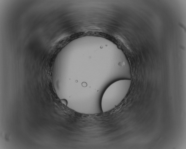 X0000094081063200710190912