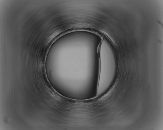 X0000094081065200710190912