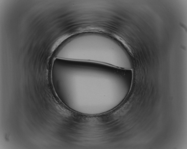 X0000094081066200710190912