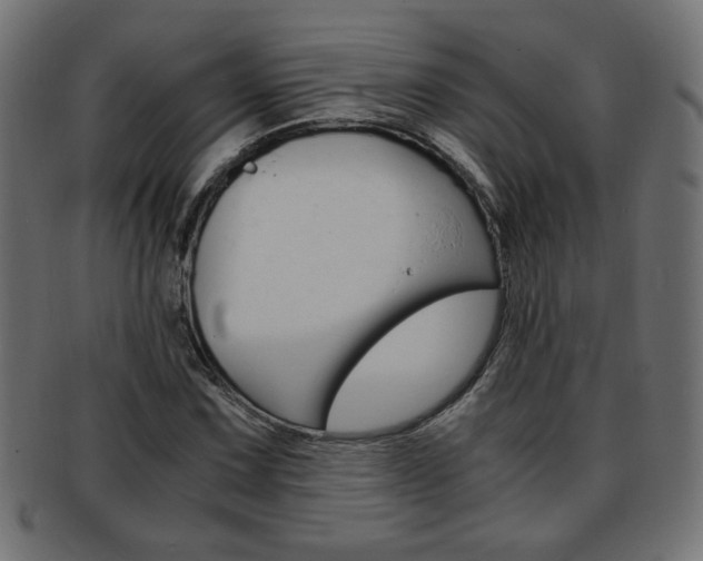 X0000094081067200710190912