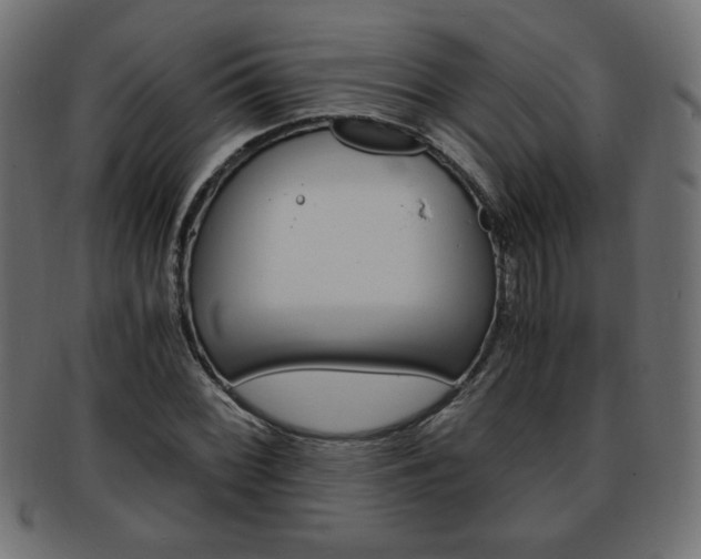 X0000094081068200710190912
