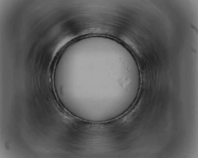 X0000094081070200710190912