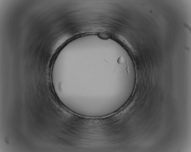X0000094081071200710190912