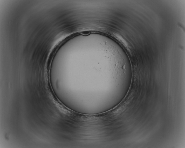 X0000094081072200710190912