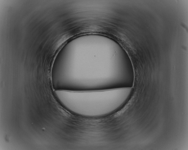 X0000094081073200710190912