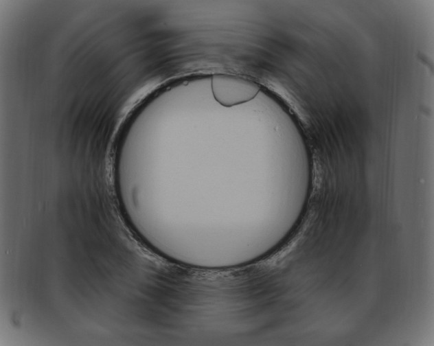 X0000094081074200710190912